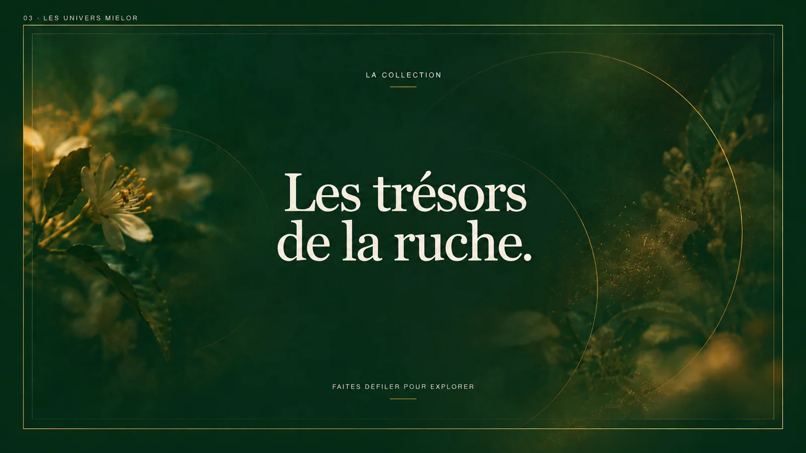 Univers botanique MIELOR — Les trésors de la ruche